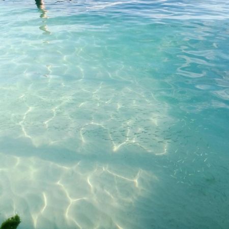 Hidden Island Glamping Isla Mujeres Ξενοδοχείο Εξωτερικό φωτογραφία