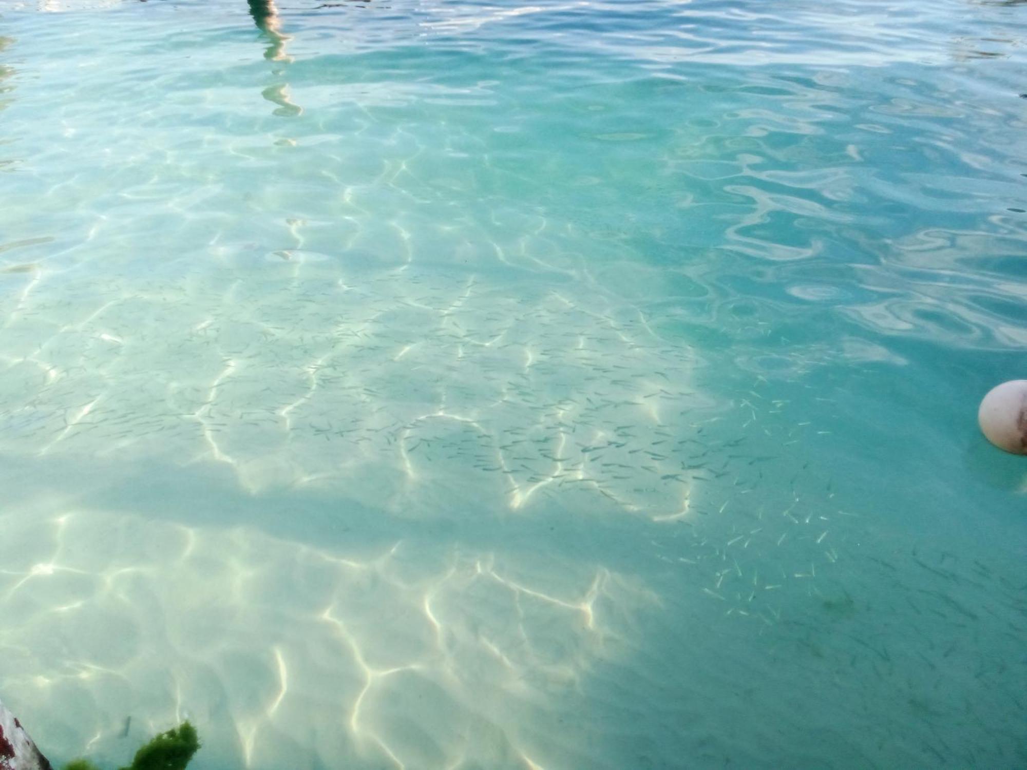 Hidden Island Glamping Isla Mujeres Ξενοδοχείο Εξωτερικό φωτογραφία